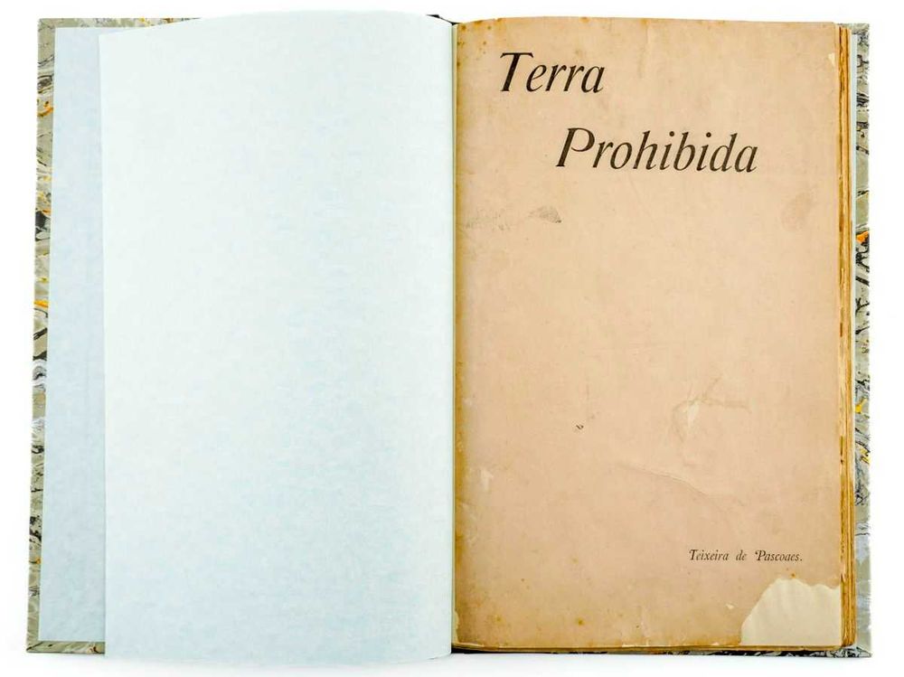 Teixeira de Pascoaes - "Terra Prohibida"
