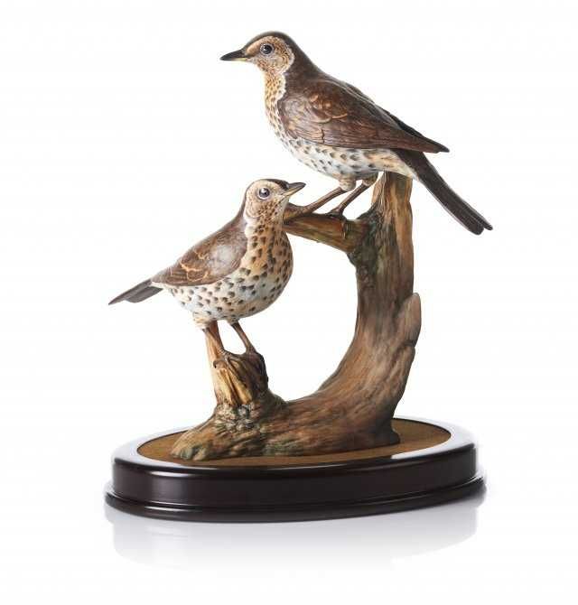 "Tordo Comum (Turdus Philomelos)"