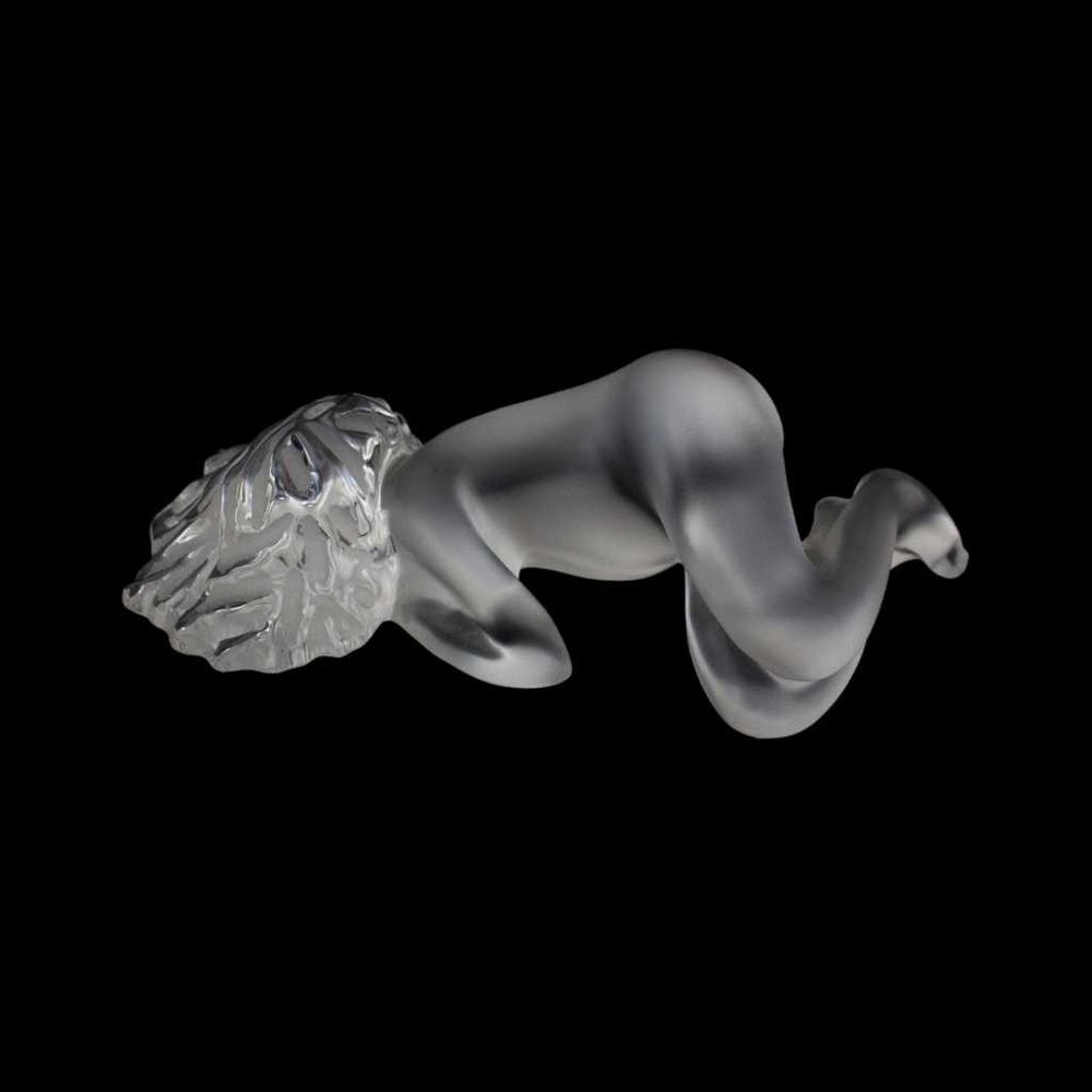Imagem 6