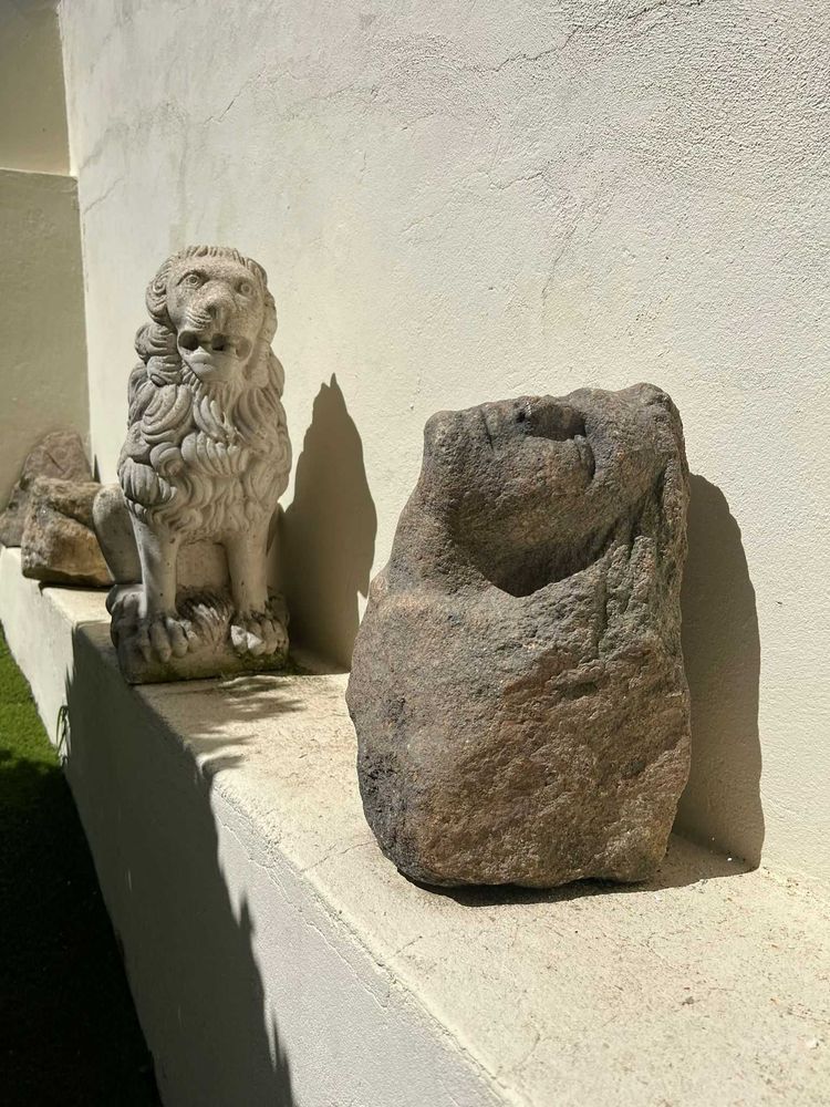 Imagem 6